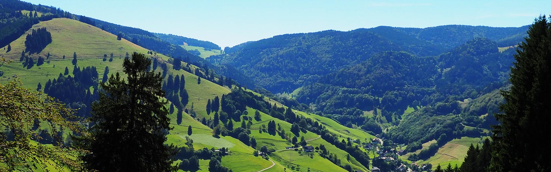 SCHWARZWALD CLT Massive Holzbauelemente aus Staufen - Ansicht Münstertal